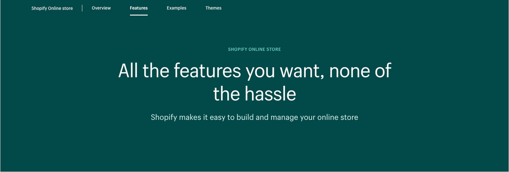 Shopify Online Store