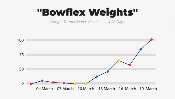 IWD Agency Google Trends Google Search Results Bowflex Weights